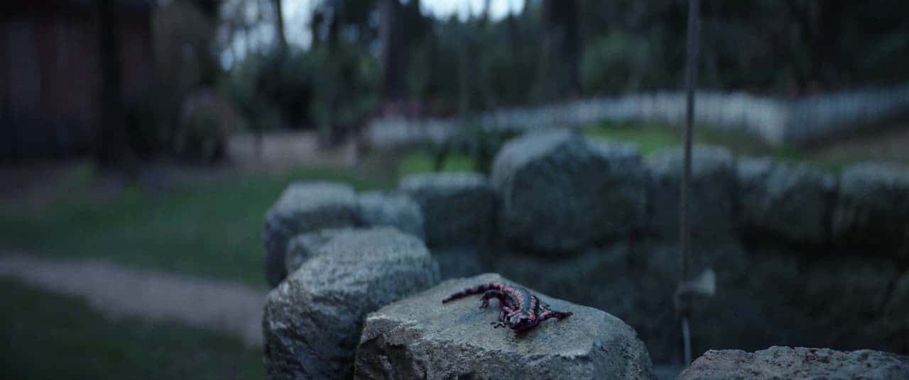 movie frame